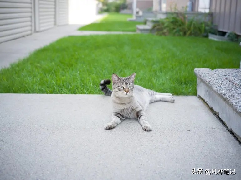 哈苏x2d100c视频,哈苏x2d100c与50c区别