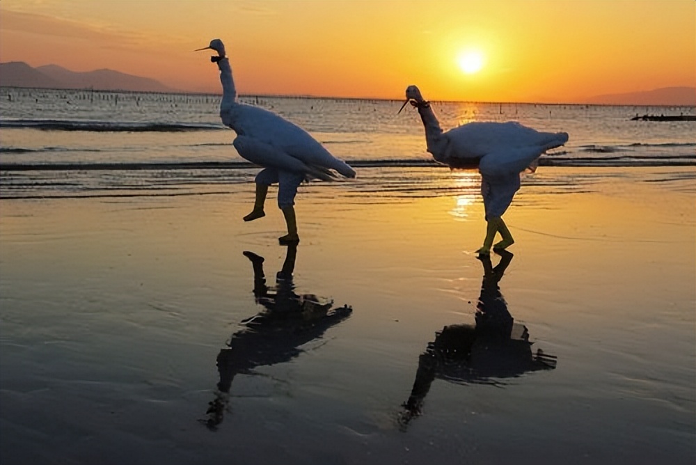 珠海非遗三灶鹤舞,三灶鹤舞是非物质文化遗产吗