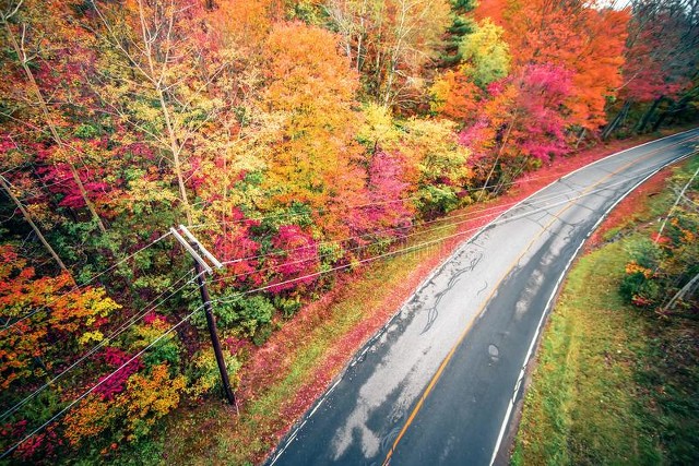 七律初夏七绝,七律秋日晨雨