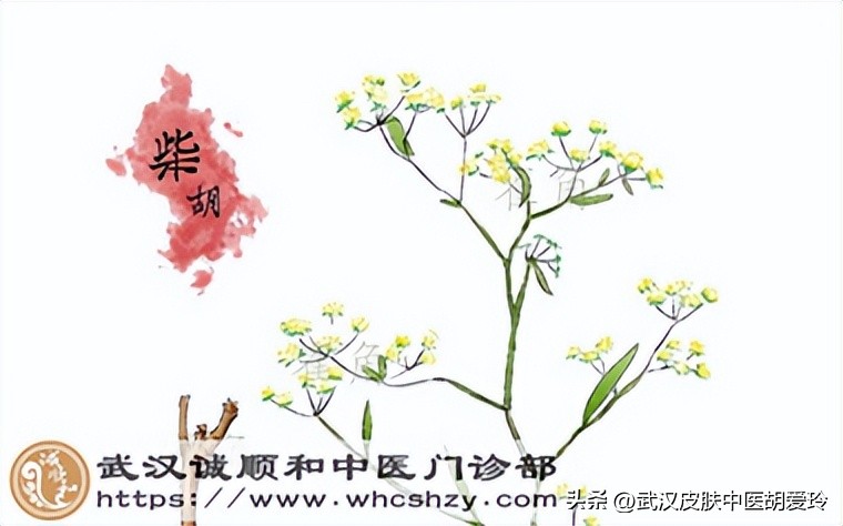 臀部侧边长了个凸起的硬疣,臀部上长疣子是什么原因