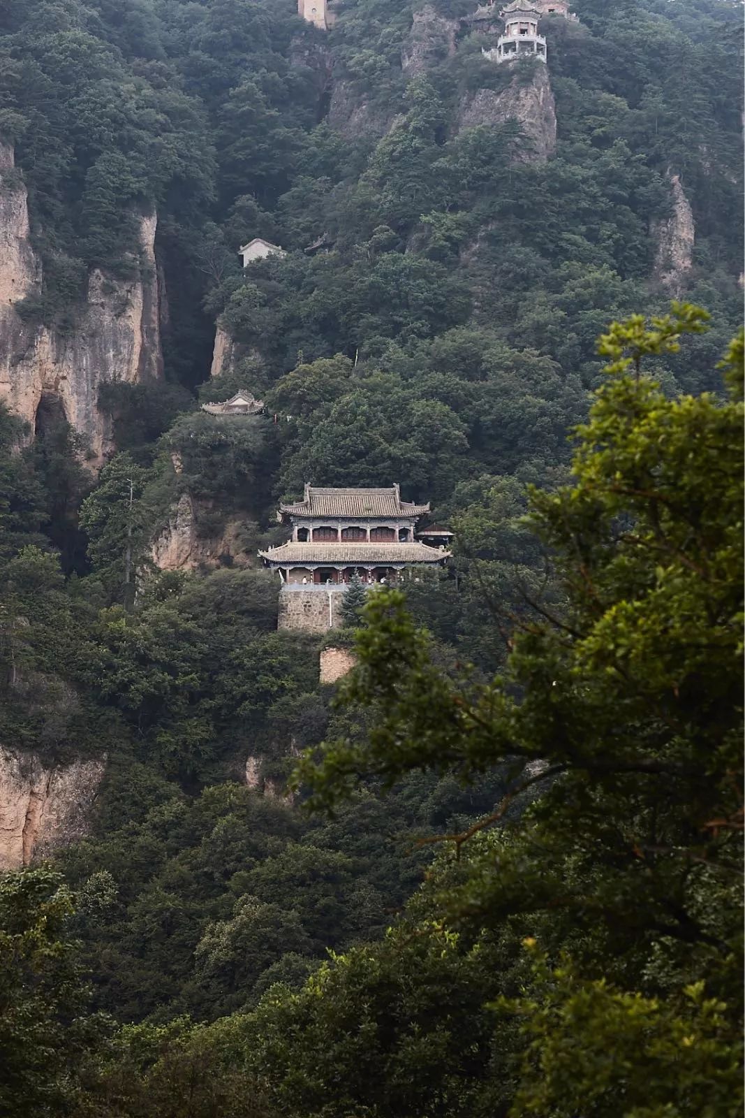 吃到嗓子眼的榴莲自助,吃到嗓子眼的牛肉面