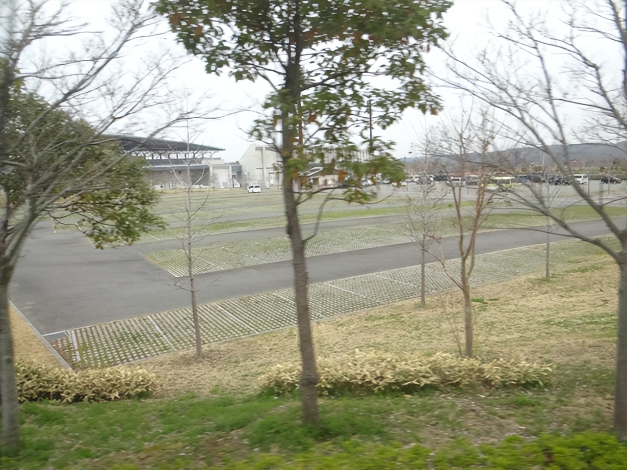 日本城市为什么那么干净,日本东京公园现状