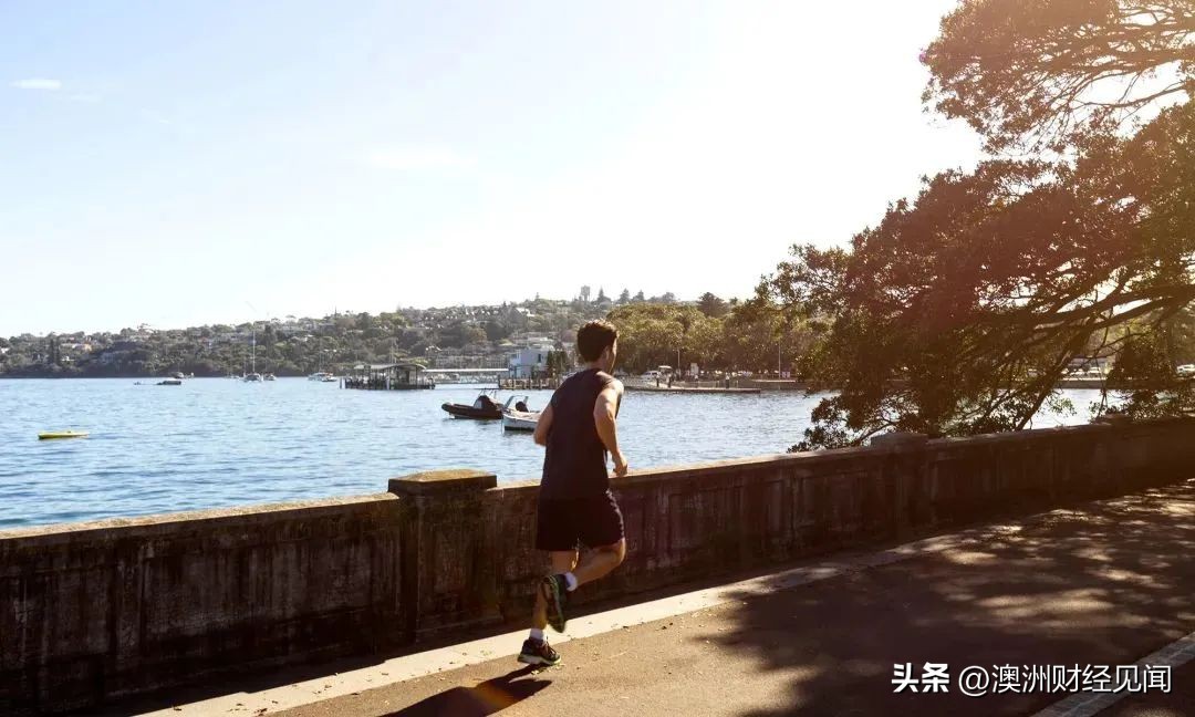 悉尼主城区房价,悉尼中心区房价