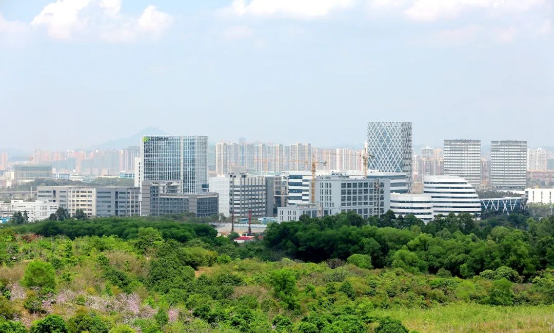 从“场景”到“市场”，坪山催化赋能企业创新产品出实招