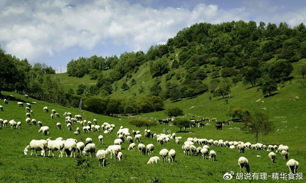 两大利好的消息,两大喜讯