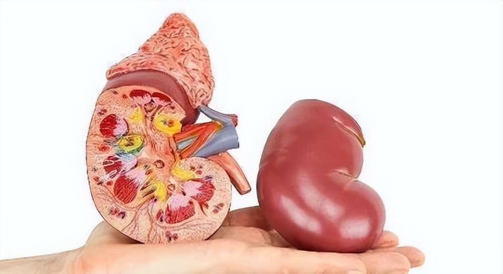 类风湿合并肝病怎么治疗,类风湿合并肾炎怎么治疗