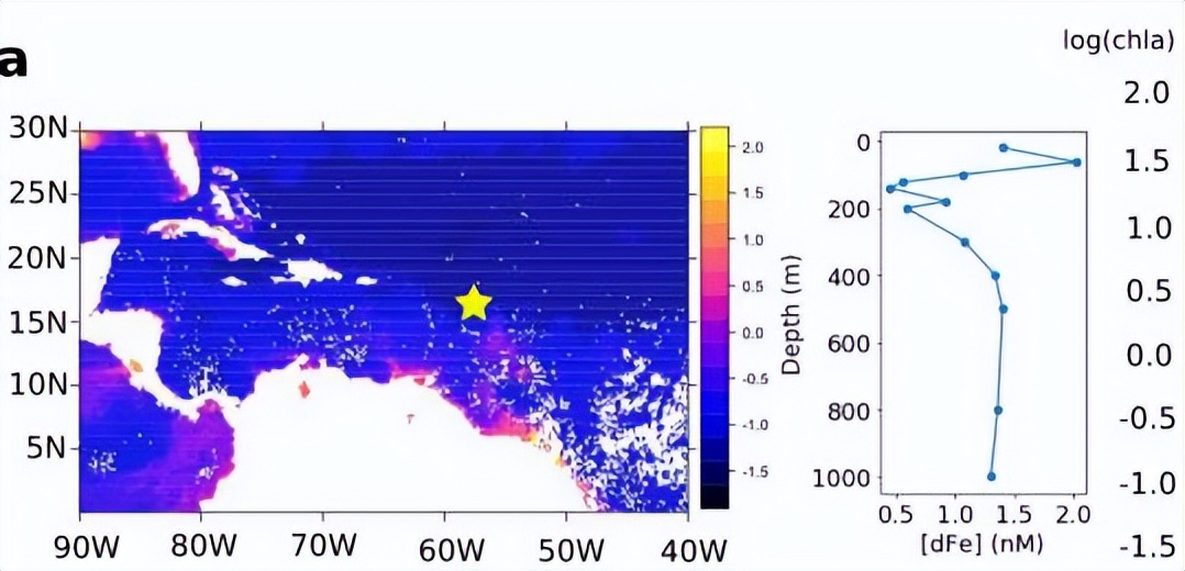 毛滴虫的营养源,毛滴虫营养源是什么