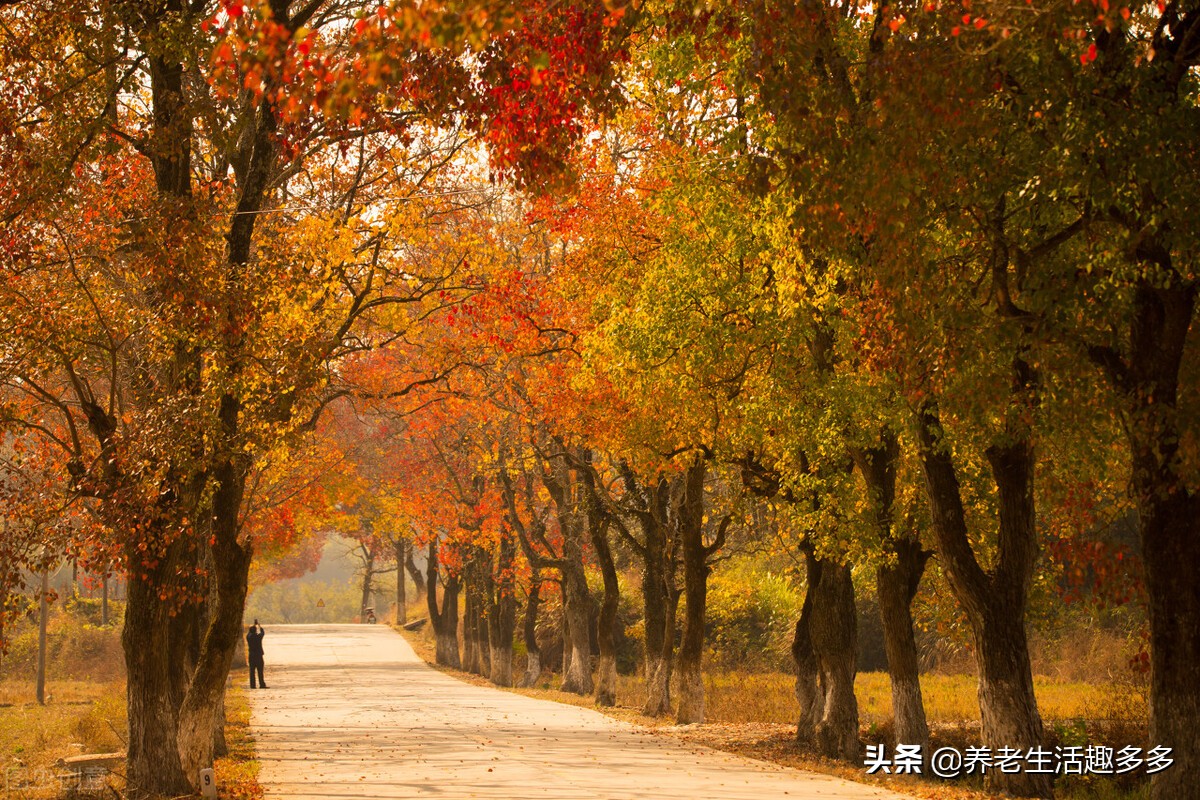 养儿是否一定能养老？