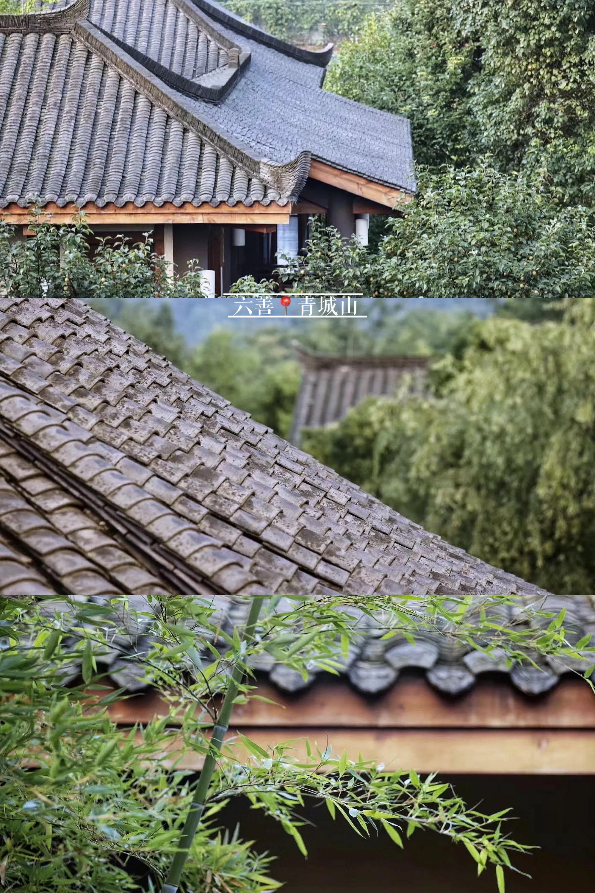 青城山六善度假酒店视频,青城山六善度假酒店