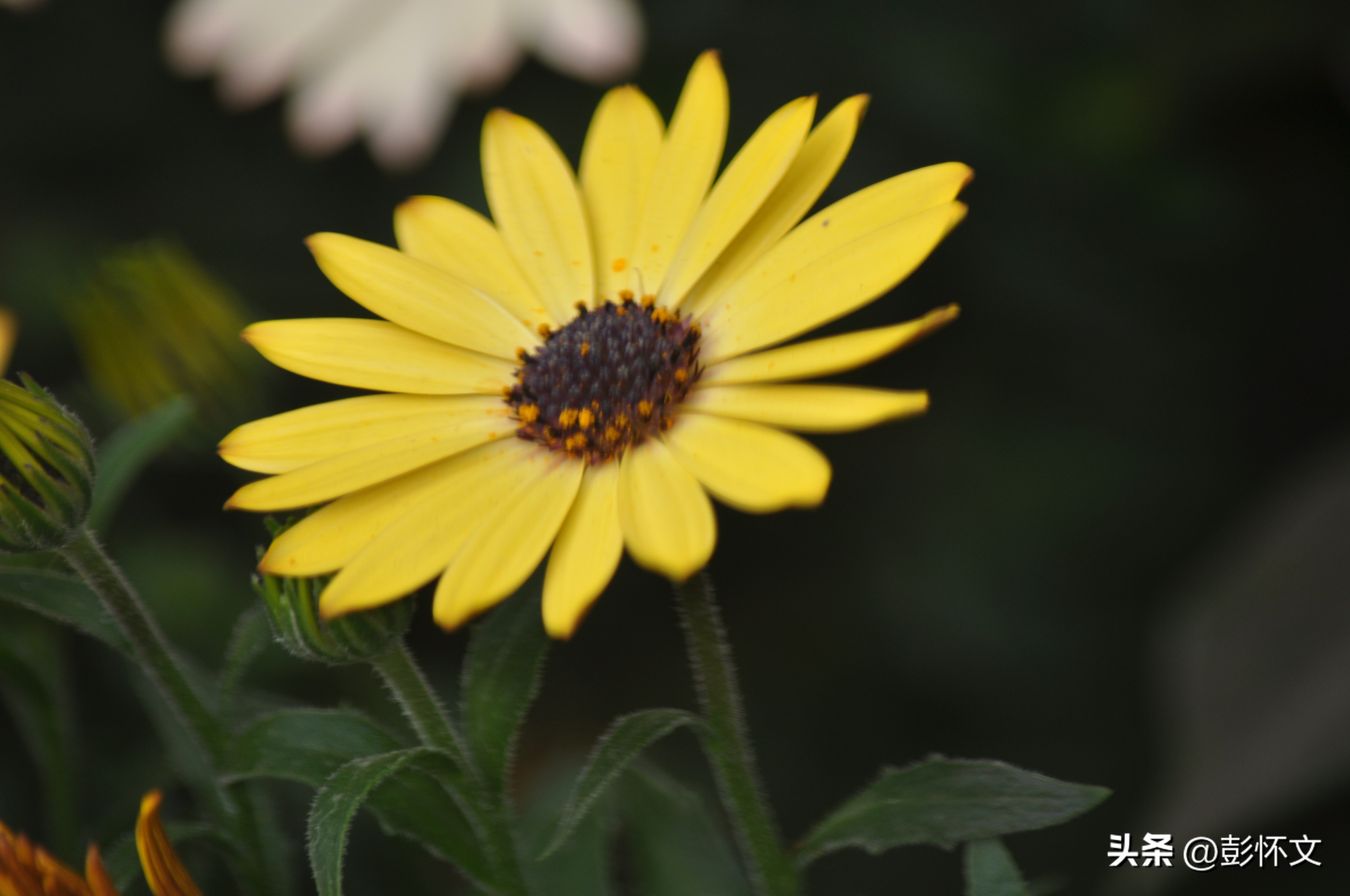 财税问题解答9则,最新财税问题解答问题合集