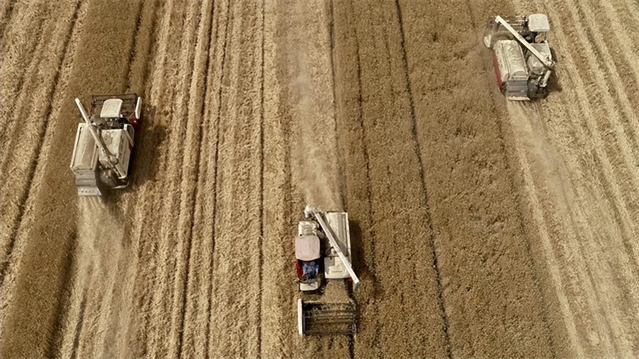 种子战争的危机,种子危机到底多可怕