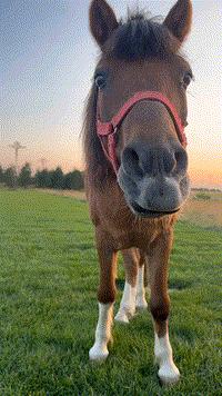 我宣布，烧卖和公厕是我在呼和浩特的心头好