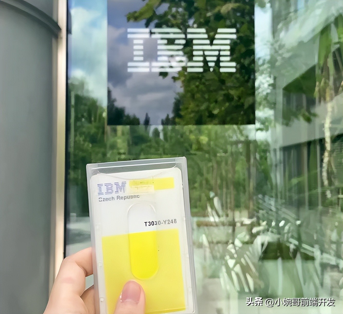 准备微软的面试，却进了IBM养老部门