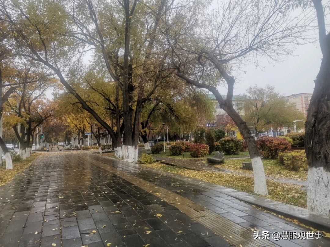 自然现象的古诗词,学生必背古诗词41到60句