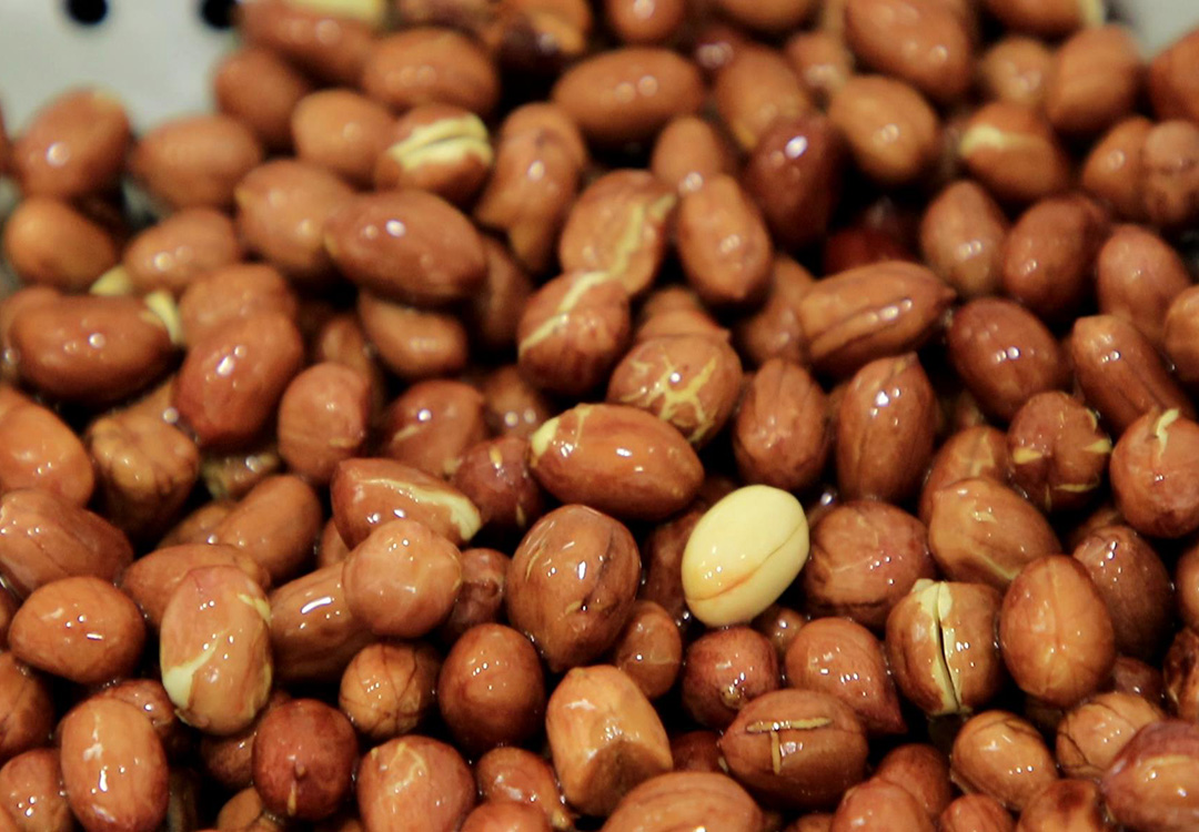 花生配什么菜最好吃，教你5种不同做法，鲜香美味，顿顿吃光盘