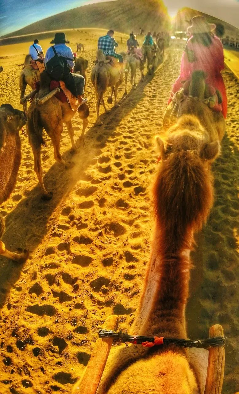 流失的珍贵壁画,一些壁画保留完整了几个世纪