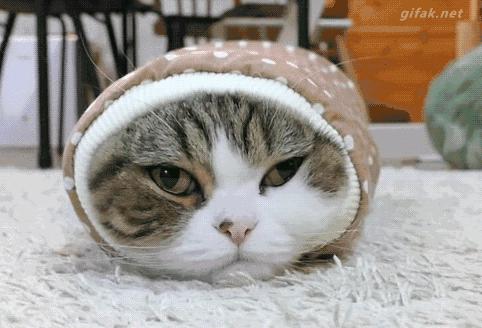 冬天手脚冰凉只需一招,冬天容易手脚冰凉是怎么回事