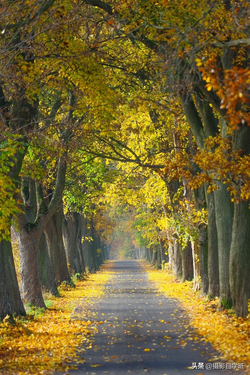 用手机拍照风景技巧,用手机拍照有哪些摄影技巧