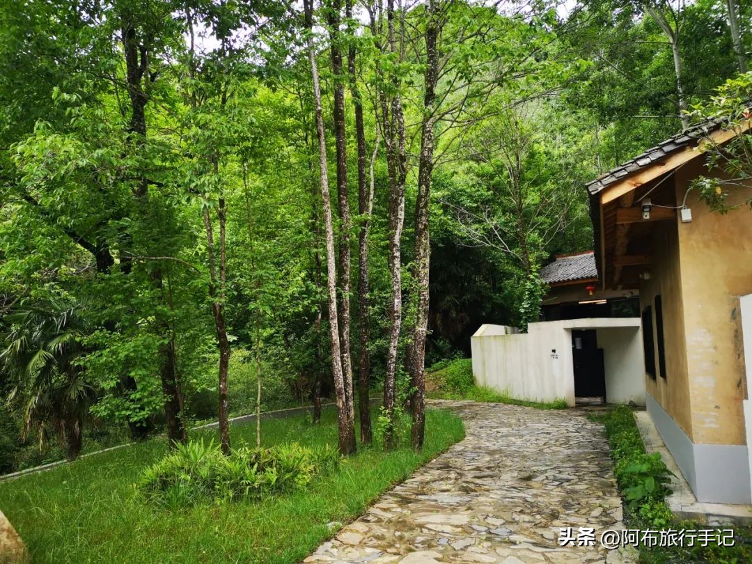 还没来得及去日本，却在秦岭来了趟值回东京票价的旅行