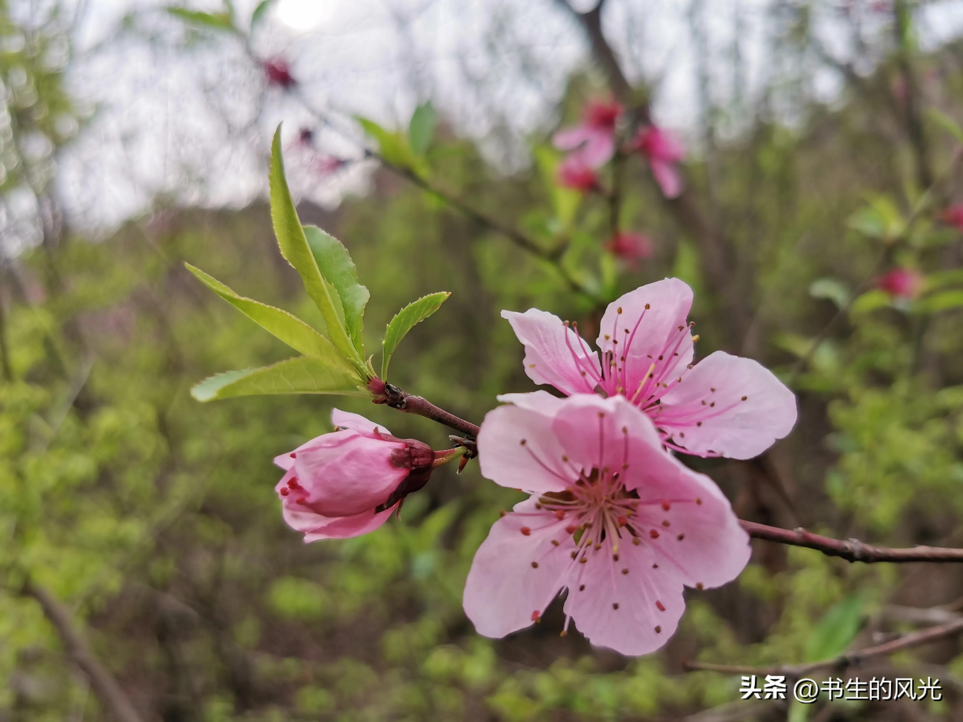 如何让你的手机摄影算法变强,手机拍照体验成像算法