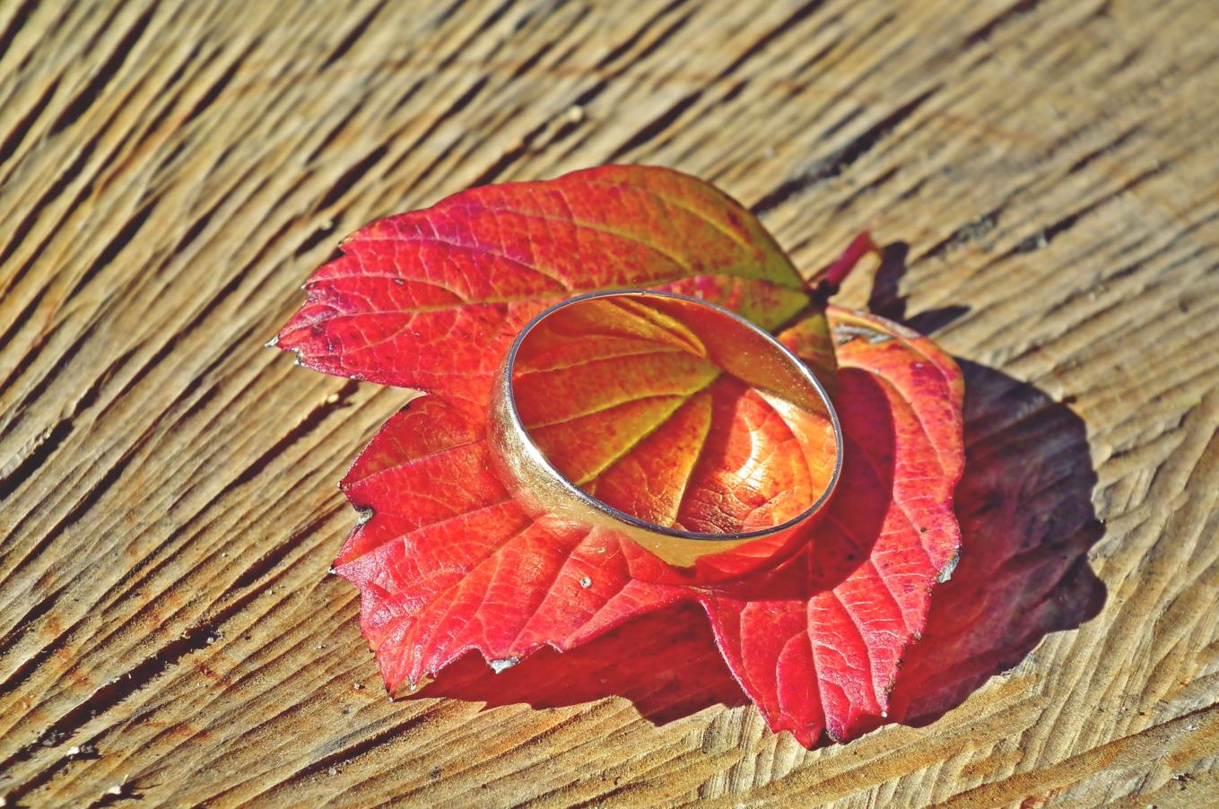 首席消费官：iPhone14Plus上市即破发美团外卖或进入香港市场