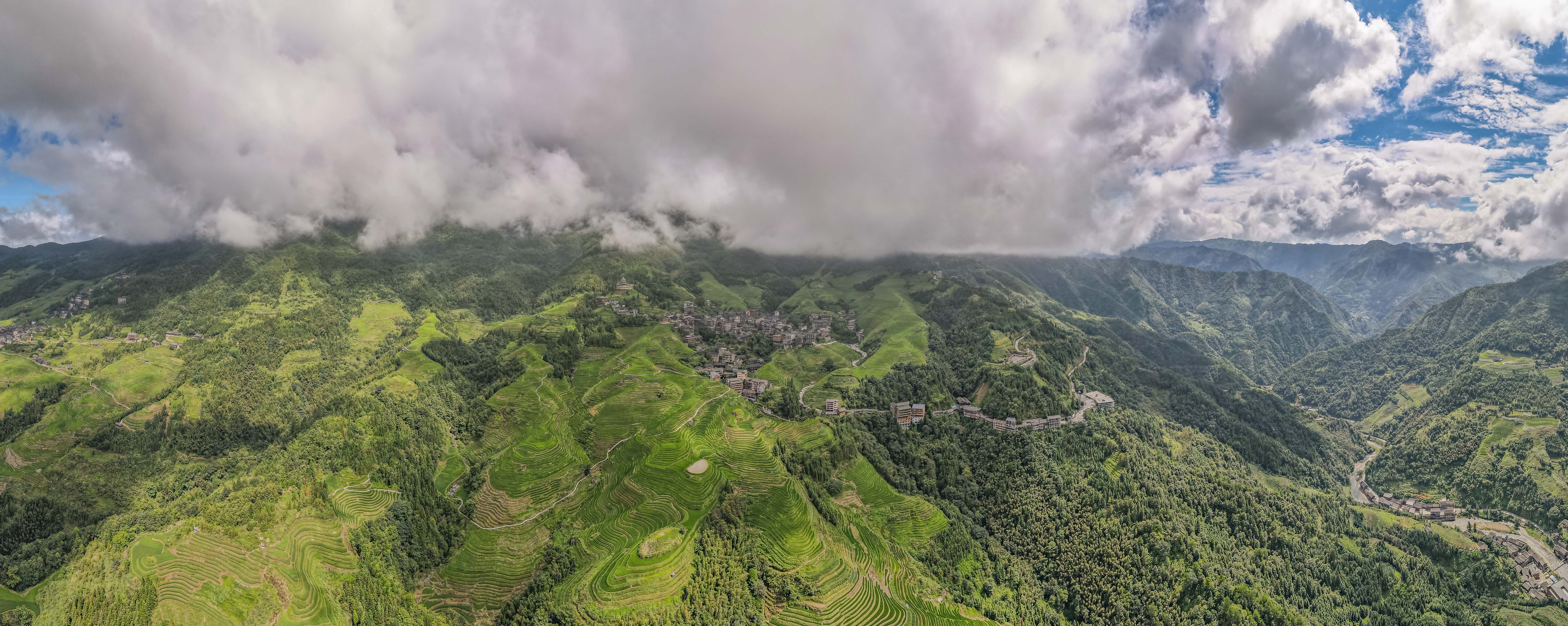 龙脊水稻梯田图片,龙脊水稻