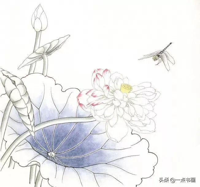 鍥界敾鑽疯姳鐢绘硶瑙嗛,娉煎ⅷ鑽疯姳鐢绘硶瑙嗛