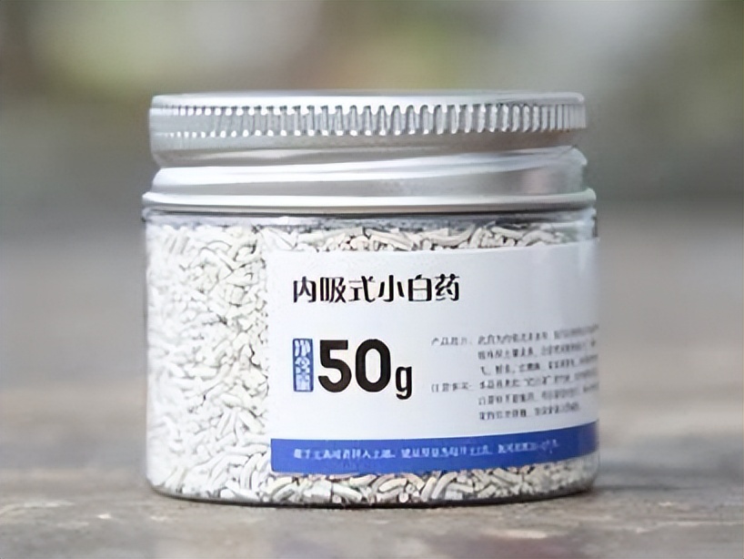 室内养花除虫小妙招,养花生虫最好的方法