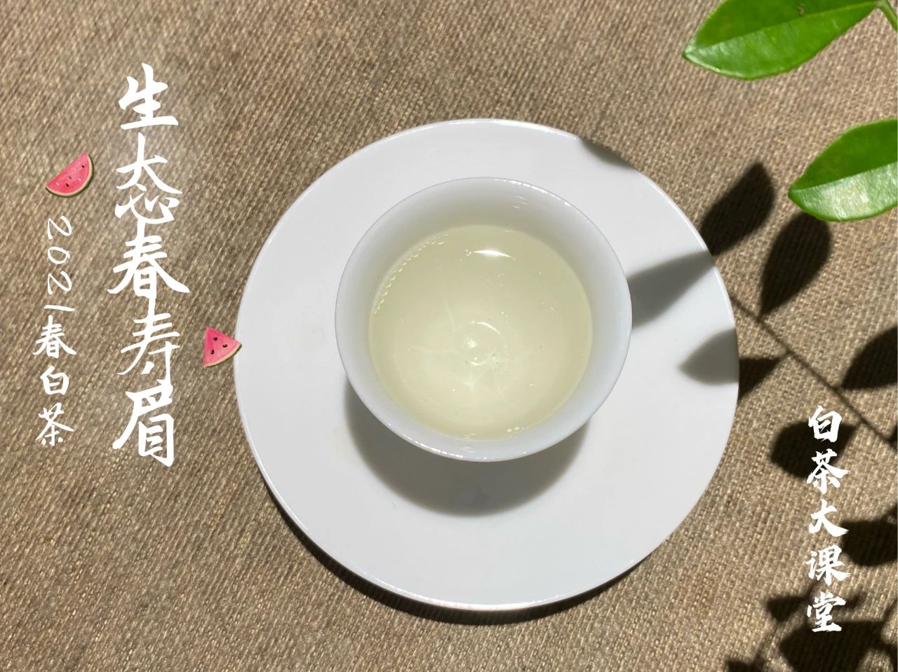 6大茶桌暗语介绍，何为回甘？何为醇厚？何为生津，一次说清