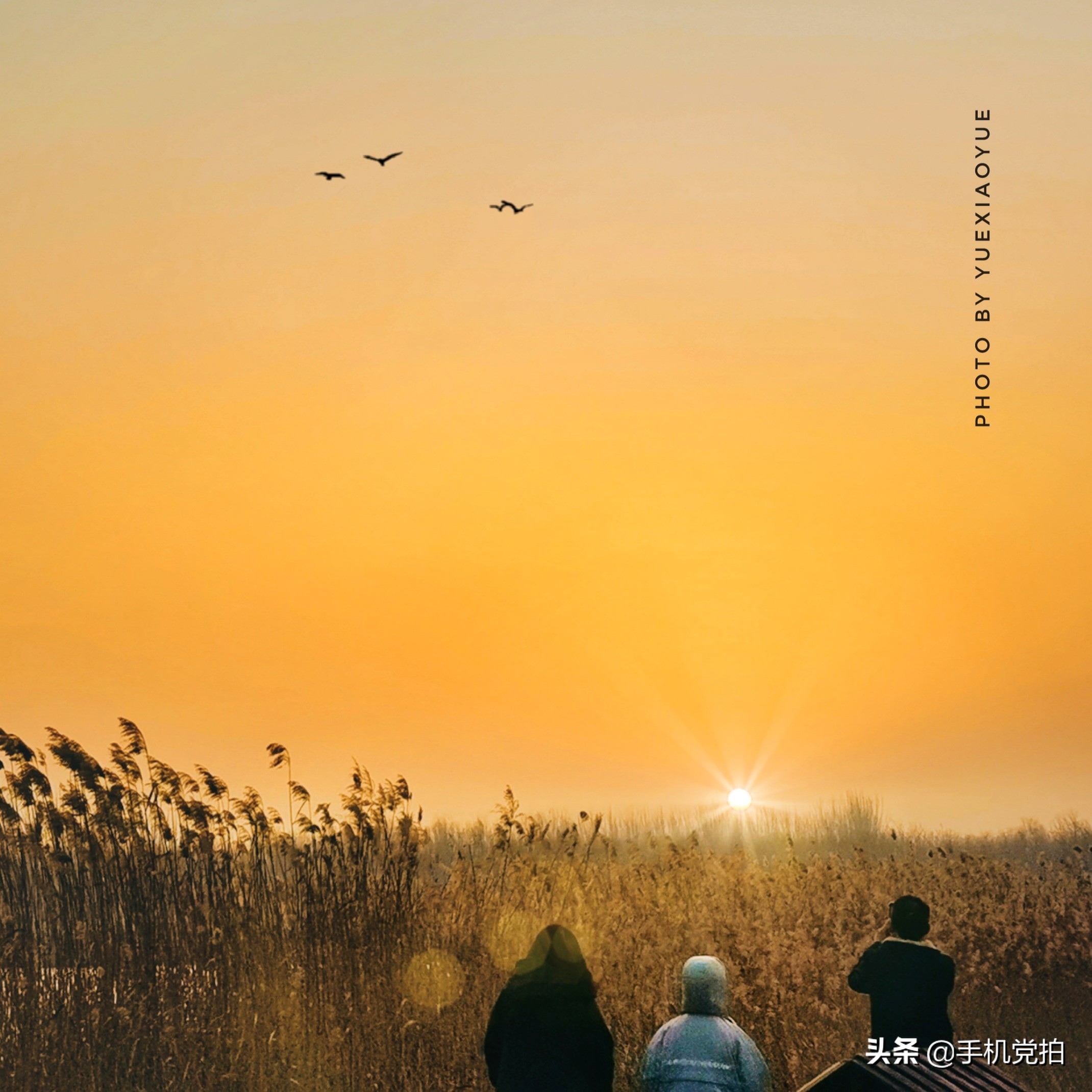 手机拍美景怎么拍,手机拍照片怎么拍风景好看