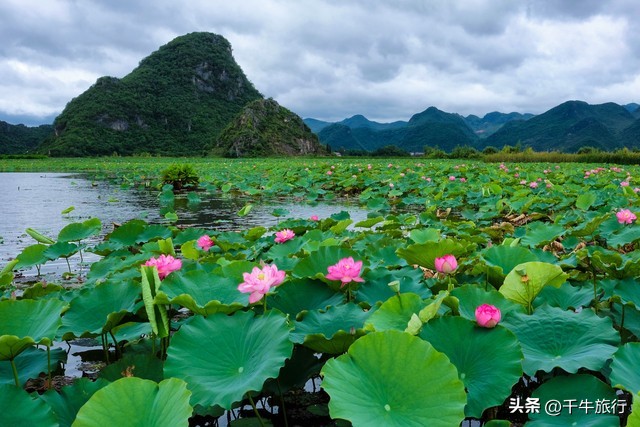 云南10个神奇景点攻略,云南丽江打卡必去景点