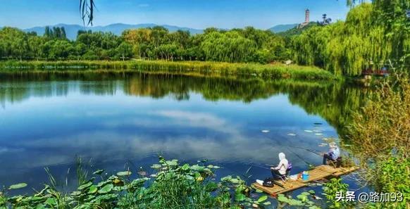 烤鸭科普,烤鸭知识