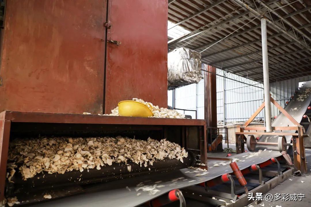 贵州威宁：哲觉小作坊变“大”工厂