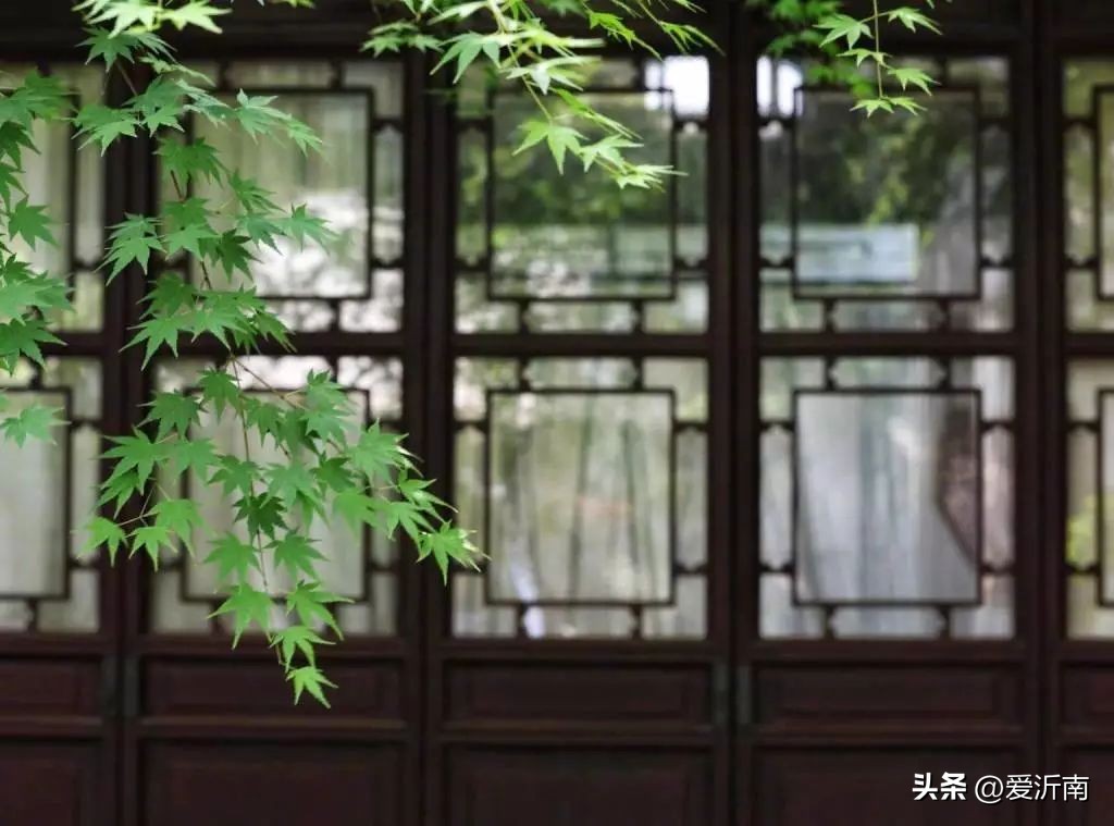 十首绝美夏天诗词大全,微雨过小荷翻榴花开欲然全诗