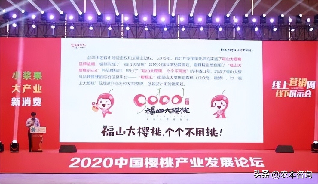 福山樱桃排名第一,山东福山大樱桃