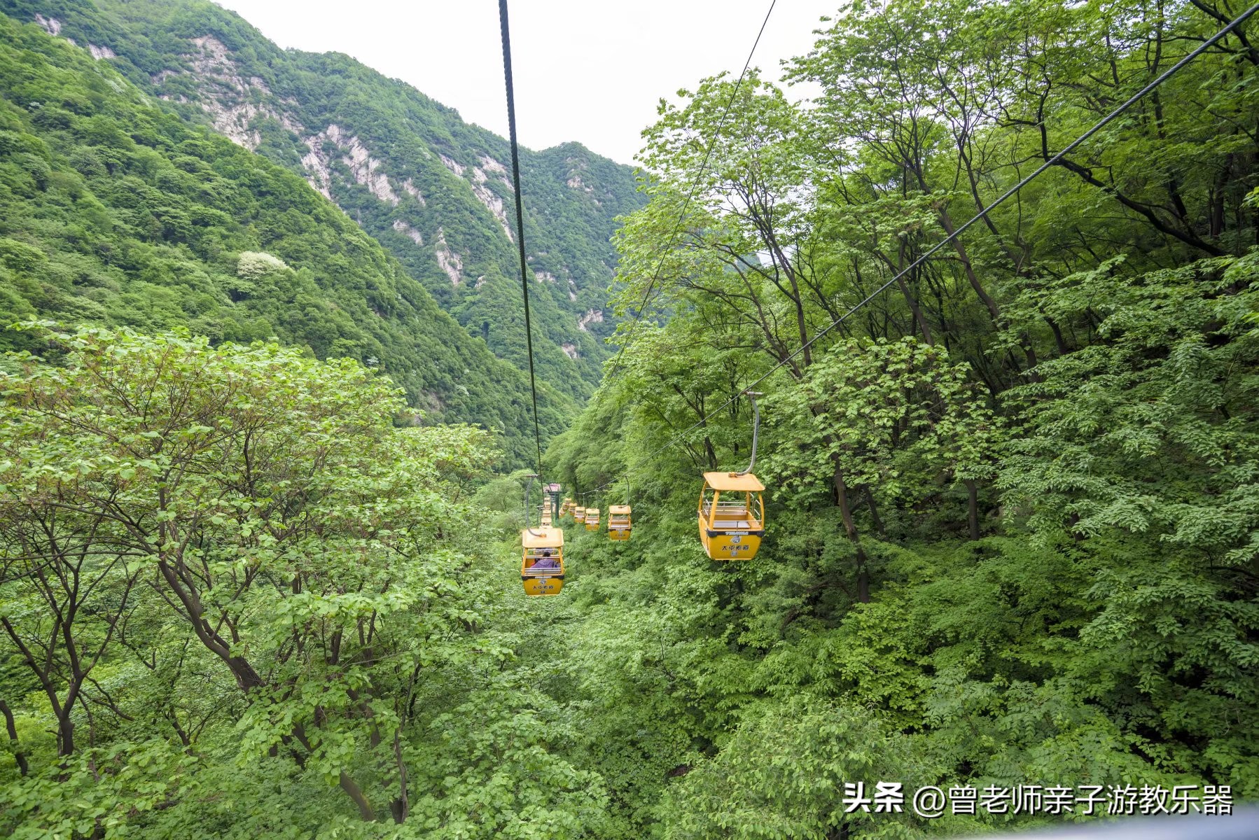 西安旅游五大必去景点秦岭,西安秦岭风景区旅游攻略