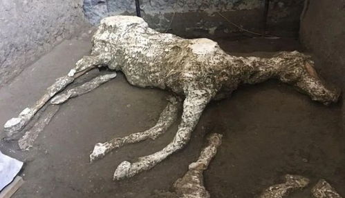 火山爆发有多恐怖,火山爆发有那么恐怖吗