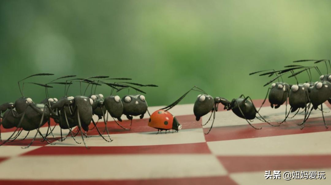 带你真切看人间的宝藏纪录片top10,十一长假适合带孩子看的纪录片