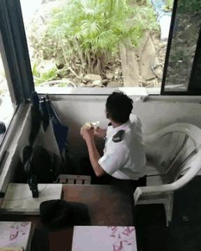 被石头划伤头有点晕,被石头磕到头流血