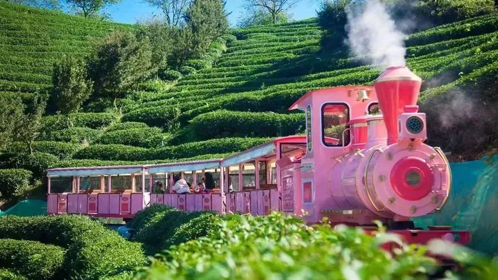 日本100个最佳樱花景点,日本十大樱花景点