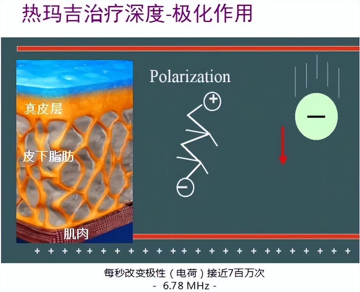 变态整容失败案例,变态整容医生为女儿报仇