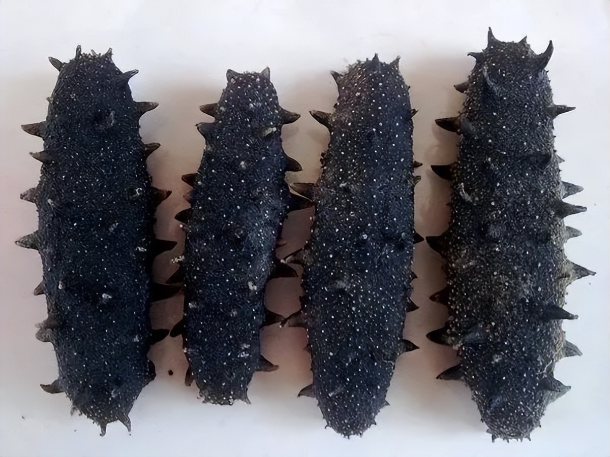 海参便宜和贵的有区别吗,红海参为什么有贵有便宜