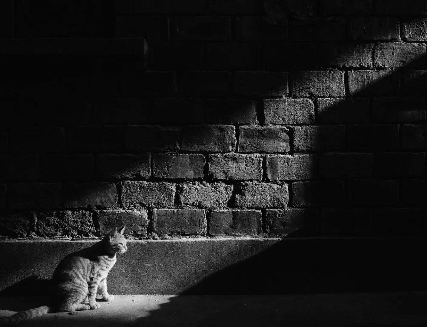 你不是真正的快乐,你是不是真的快乐简谱