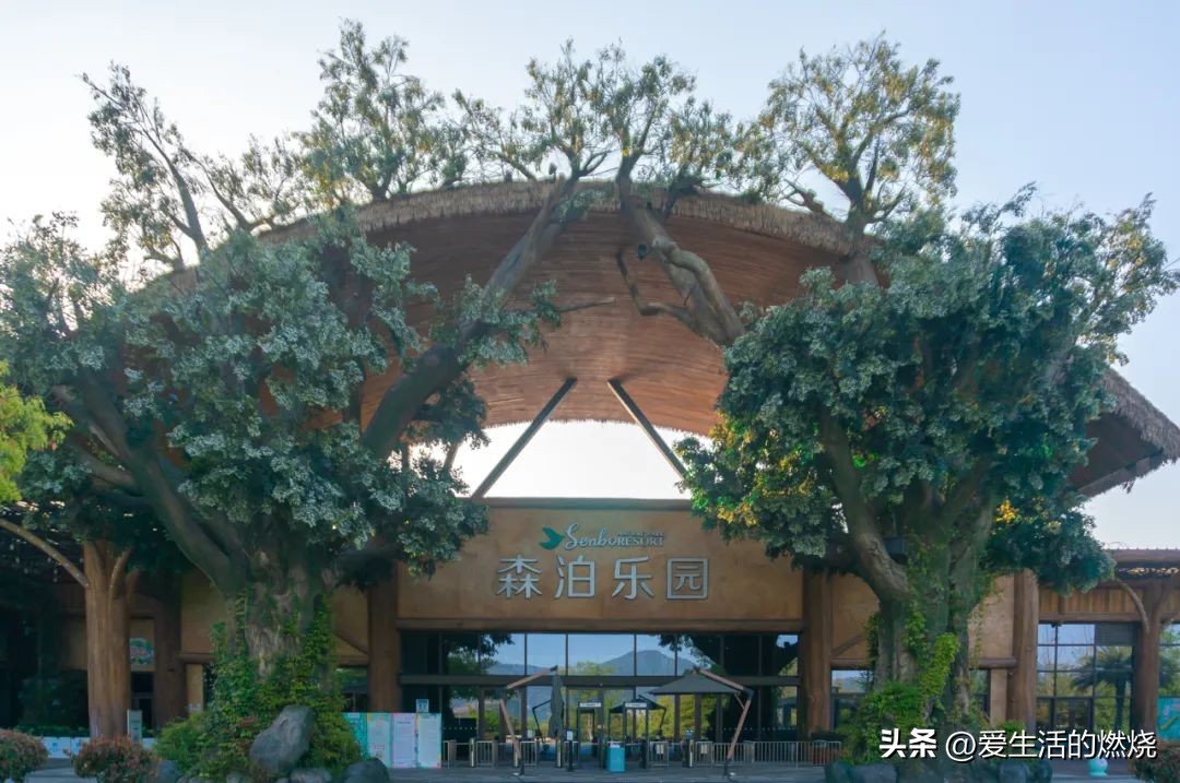 杭州森泊开元度假酒店不含门票,杭州开元森泊度假酒店存在的问题