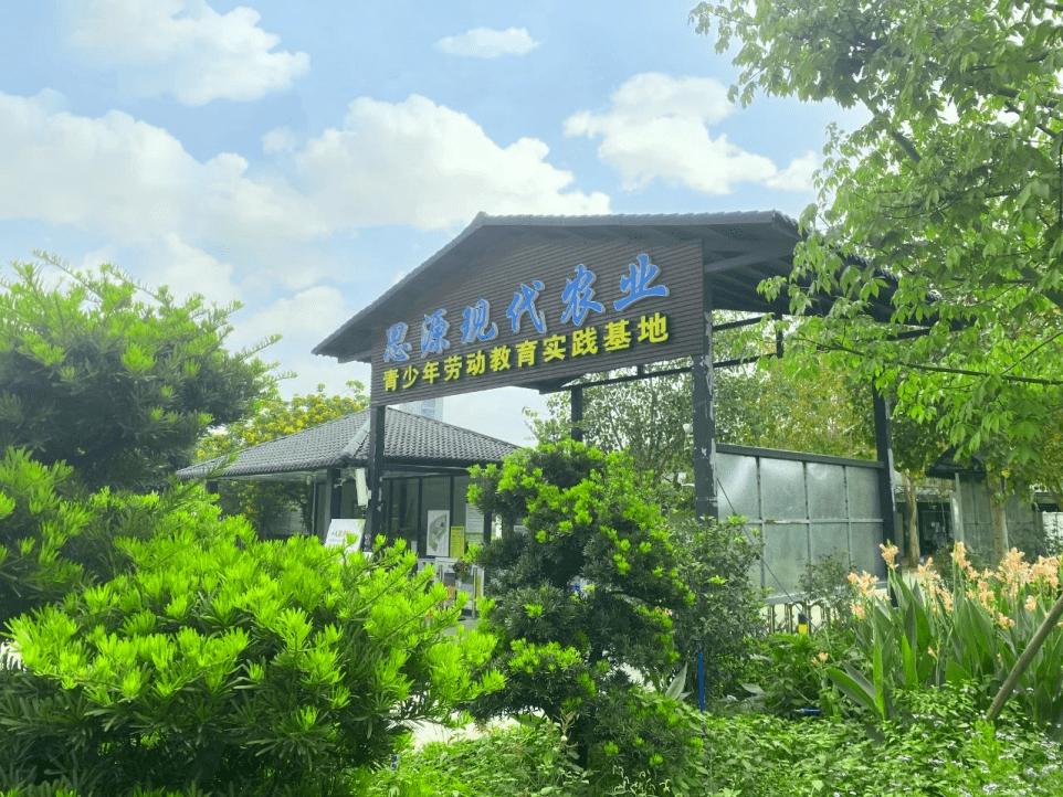 广州番禺适合遛娃吃喝玩乐的地方,周末遛娃好去处广州番禺