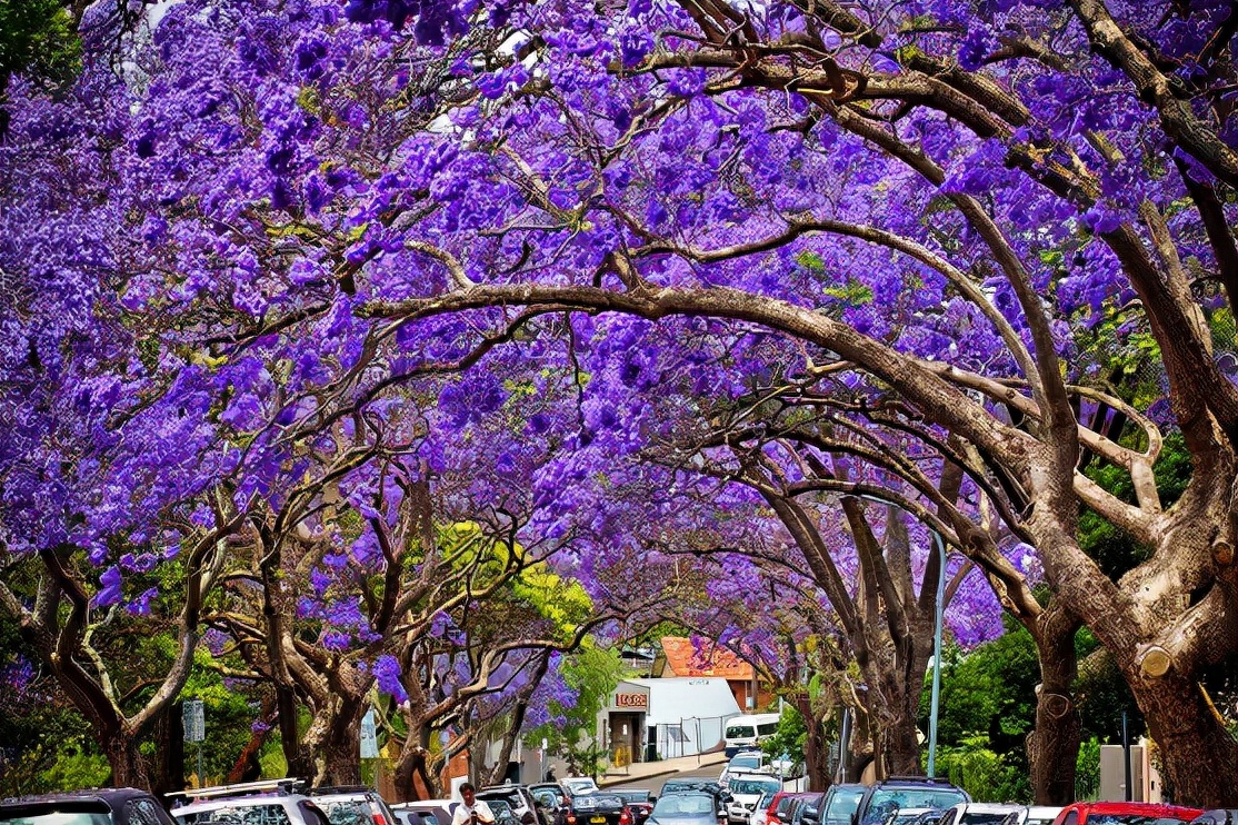 《中国大百科全书（第2版）》读书笔记03147-被子植物门