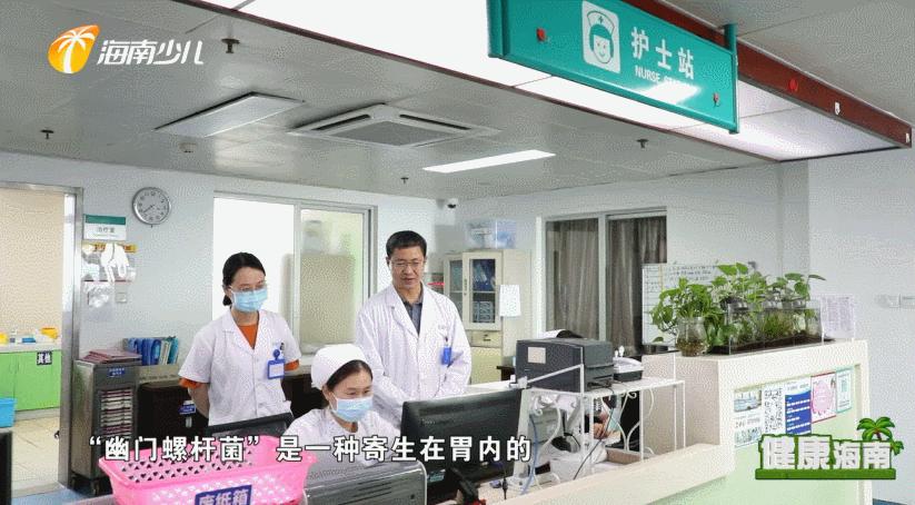 健康海南|你想了解你的胃吗？“中西医”有话说！