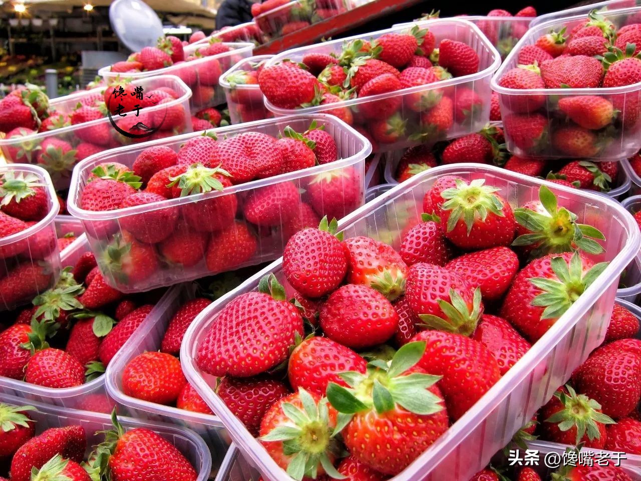 爱吃草莓的千万要注意,喜欢吃草莓的千万别错过