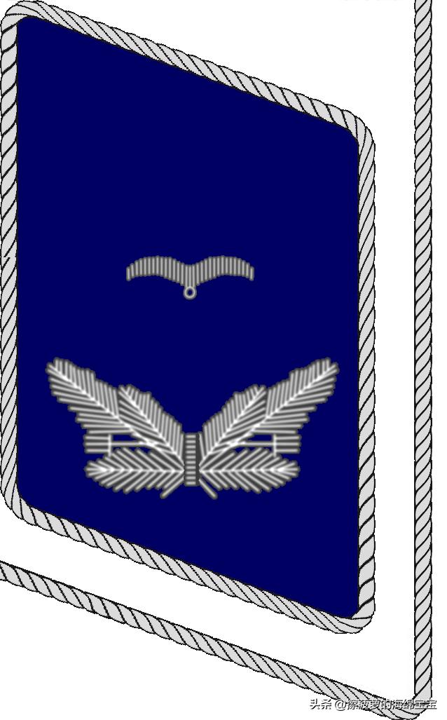 二战德国国防军医疗兵军衔标志