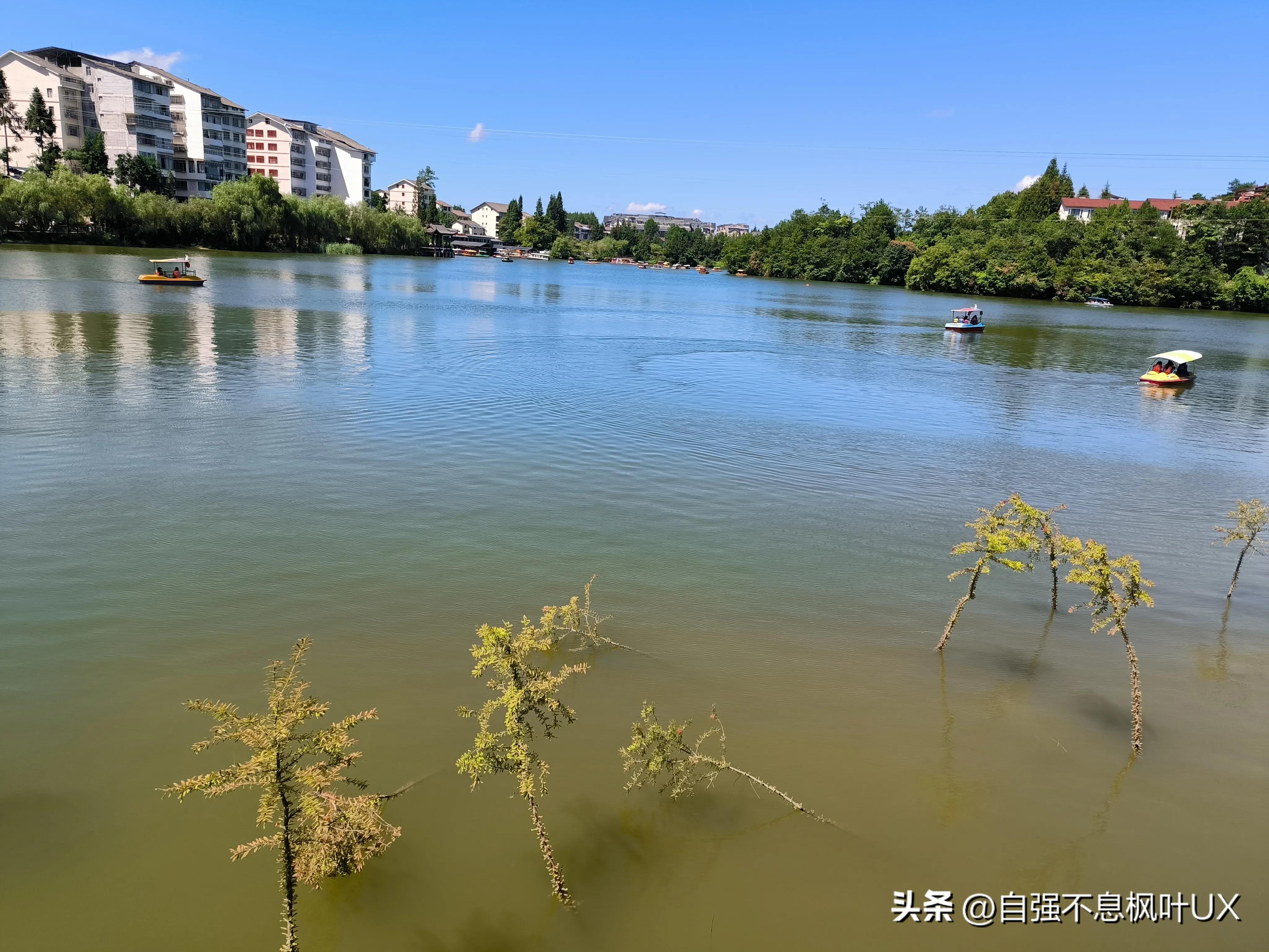 黄水避暑哪里好玩,黄水避暑完整视频